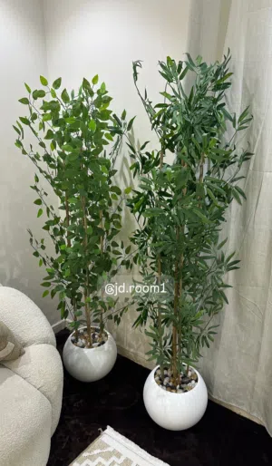 زرع صناعي جديد جمله
