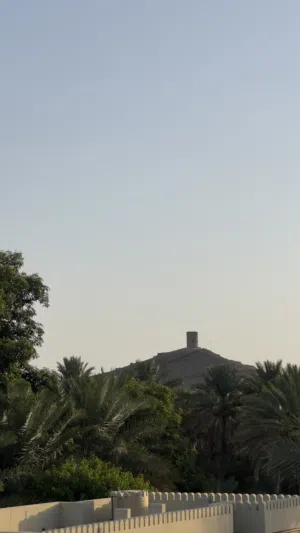 يوجد لدينا صرم (فرض+ جبري+ هلالي+ خلاص ) للبيع