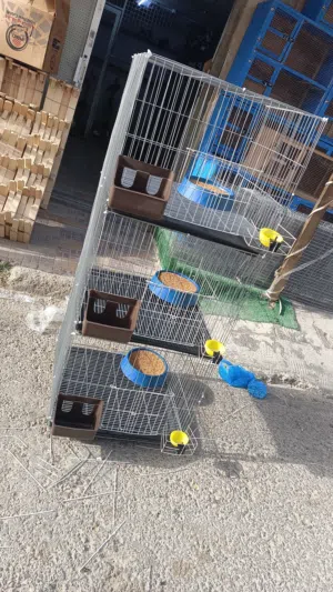 سلاكات حمام