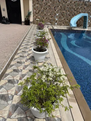 9 plants blooming