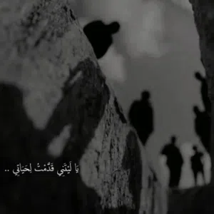 مصطفى محمد 