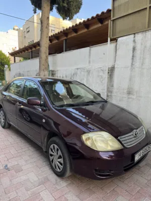 Used Toyota Corolla in Amman