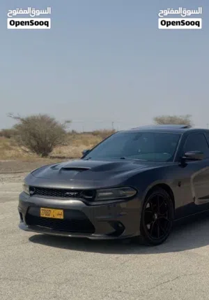 Used Dodge Charger in Sharjah