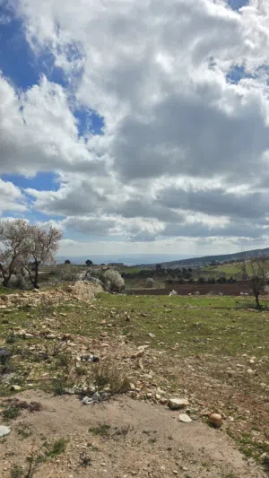 Farm Land for Sale in Jerash Soof