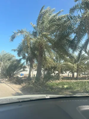 ‏الاستخدام المتعدد ‏.‏ سنوي ‏.‏ 300 م٢‏0