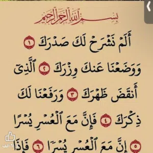 يسر محمد 