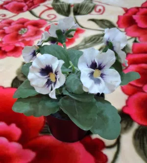 زينه صناعيه للبيع