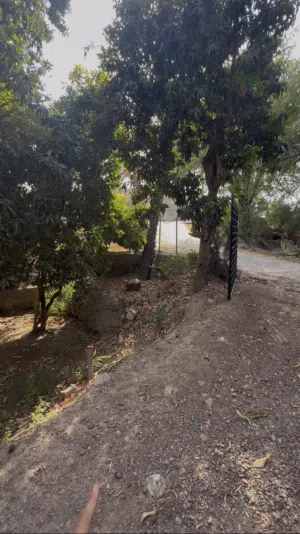 Farm Land for Sale in Buraimi Mahdah
