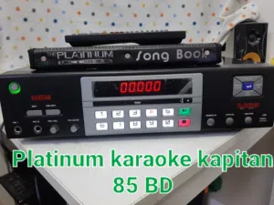 Platinum karaoke machine