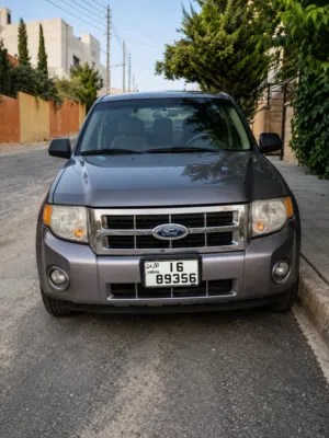 Used Ford Escape in Amman