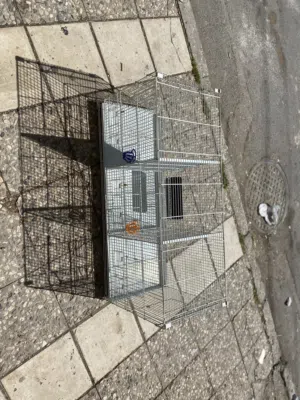 مطير عصافير