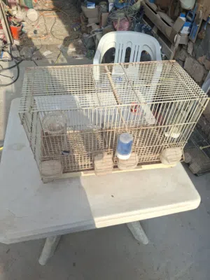 اقفاص مستعمله