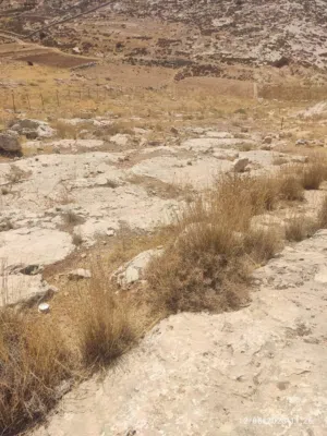 ‏الاستخدام المتعدد ‏.‏ 4060 م٢ ‏.‏ المالك‏2