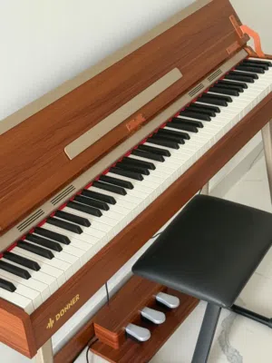 Donner DDP-80 Plus Digital Piano (88 Weighted Keys)