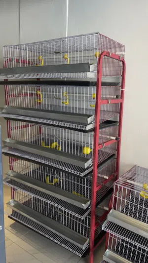 أقفاص الفر البياض والجاج البياض