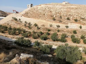 جناتا قرب البلدية وبير المي