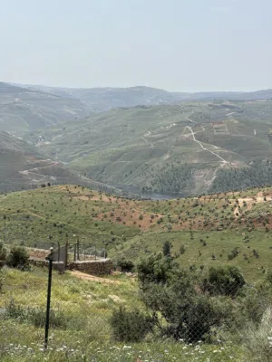 Farm Land for Sale in Jerash Al-Majdal