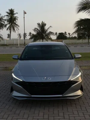 Used Hyundai Elantra in Dhofar