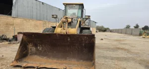 كاشيك دجي صيني