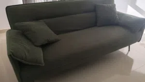 Green sleeper couch