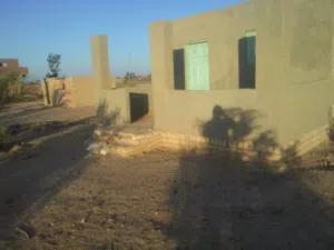 خمسة فدان  زاتون  للبيع فى السويس