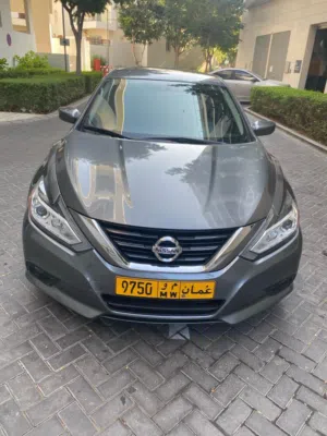 Used Nissan Altima in Muscat