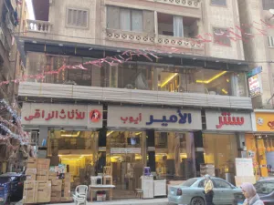 رومانى أيوب 