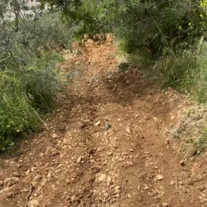 دائره السير مقابل جامع عبد الحي