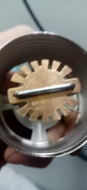 كونسلت اتحاد اوربي نص بوصه