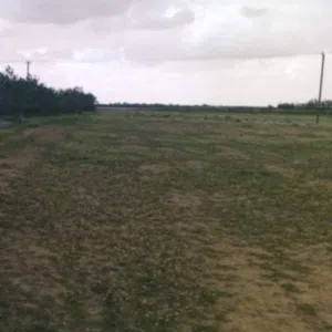 Farm Land for Sale in Misrata AlSakt