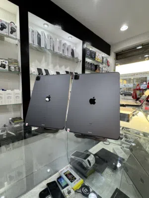iPad Pro 4th generation 256 Gb