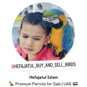 Hefajatul UAE 