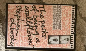 The perks of being a walllflower