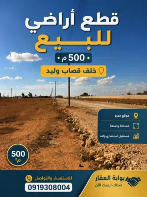 اراضي 500م خلف قصاب وليد