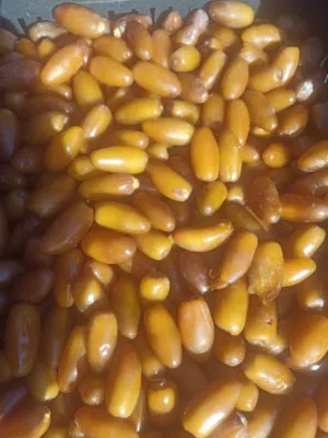 تمور دقلة فاخرة حبة صفرا