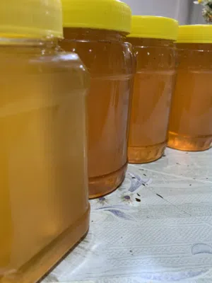 عسل طبيعي أصلي عالي الجودة