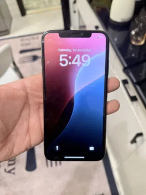 Apple - Iphone xs max 256GB- Used