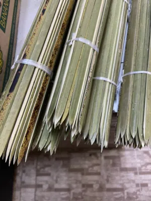 مشاكيك زور فرض