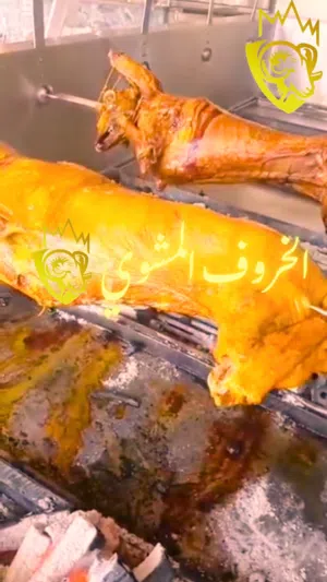 سنوي . 385 م٢3