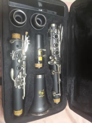 clarinet si b