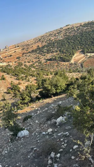 ارض للبيع منطقة عنجره