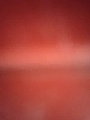 3حبات كوكتيل العمر تقريبا 6شهور مع 3قفاص