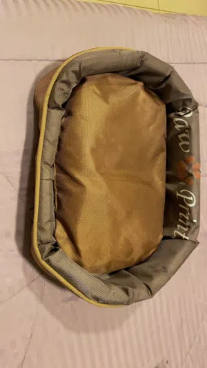 خداشة قطط وكوت قطط  والخدامة للعب وتخدش أظافرها القطط والكوت للنوم