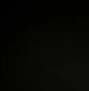 تركي 