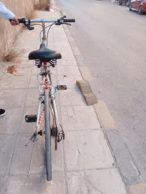 دراجة سباق احترافية (Road Bike) - فرصة بسعر مميز التفاصيل: للبيع دراجة سباق بحالة ممتازة وبأداء عال
