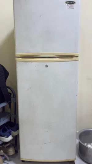 SUPRA Refrigerator