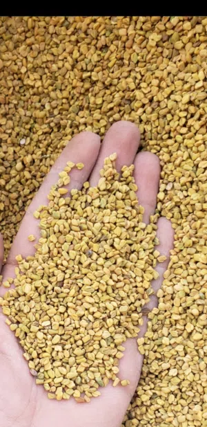 Others - Food - Supplements2