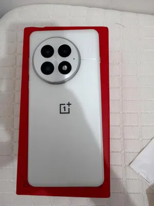 OnePlus 13