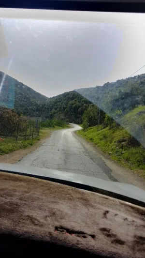 Farm Land for Sale in Ajloun Other