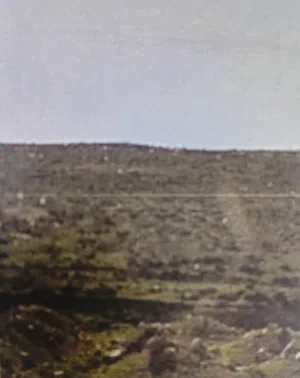Farm Land for Sale in Tafila Other